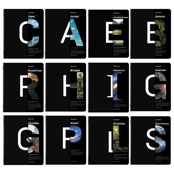 Тетради предметные, КОМПЛЕКТ 12 ПРЕДМЕТОВ, 48л, матовая ламинация, BRAUBERG INTELLIGENCE