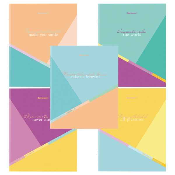 Тетрадь 96л. клетка BRAUBERG, клетка, обложка картон, Multicolor