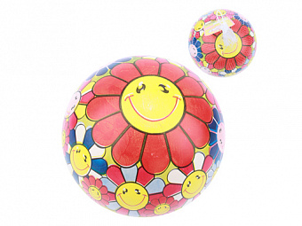 Мяч 23см Арт. N-20