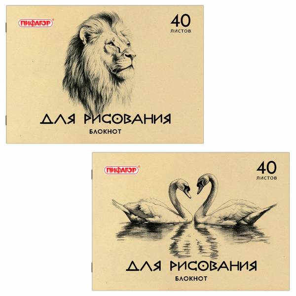 Блокнот для рисования А4 40л., обл. офсет, гориз. ПИФАГОР, ассорти (2 вида), ЕАС, (203х280), 126962