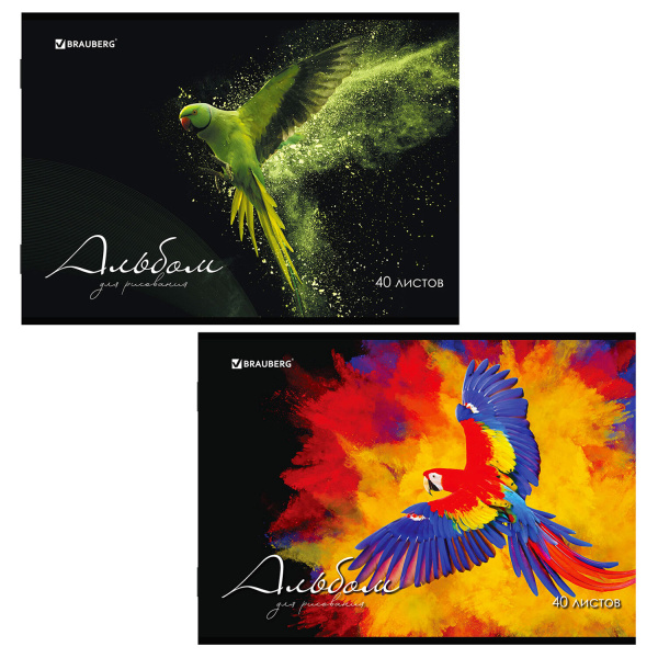 Альбом д/рис. А4 40л., скоба, обложка картон, BRAUBERG, 205х290мм, Полёт (2 вида), 106707
