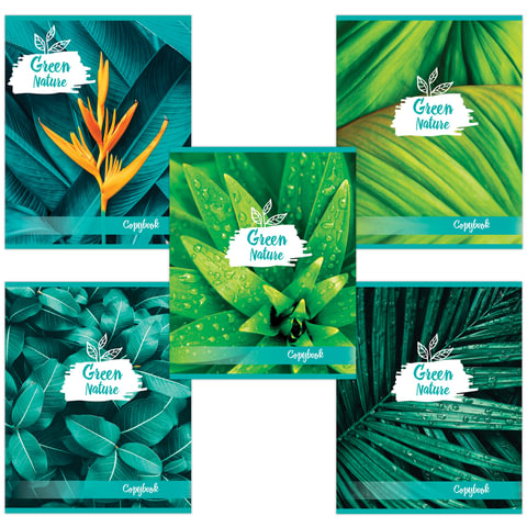 Тетрадь 48л. клетка BRAUBERG, скоба, обложка картон, GREEN NATURE