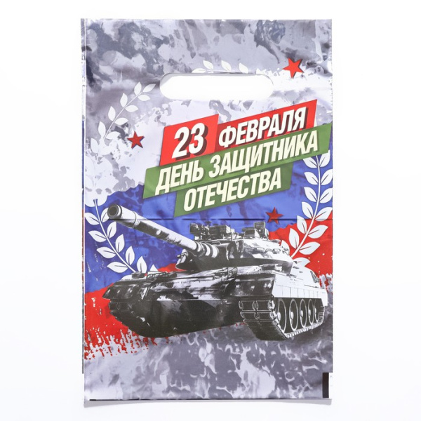 Пакет полиэтиленовый с вырубной ручкой, "День Защитника Отечества", 20х30 см, 30 мкм
