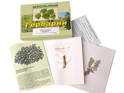 Гербарий "Водоросли. Грибы. Лишайники" (раздаточный)