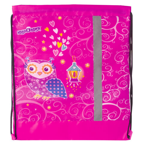 Сумка для обуви ЮНЛАНДИЯ, 1 отделение, светоотражающая полоса, с сеткой, 46х36 см, "Совы"