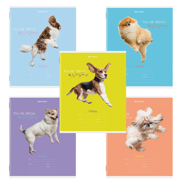 Тетрадь 18л. BRAUBERG линия, обложка картон, СОБАЧКИ