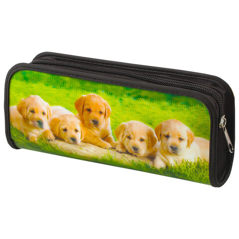 Пенал-косметичка BRAUBERG, с эффектом 3D, пластик, "Щенята", 22х10х5 см, 227304