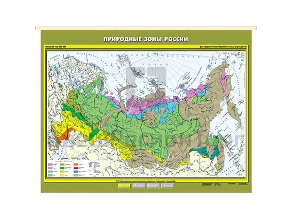 Учебн. карта "Природные зоны России" 100х140