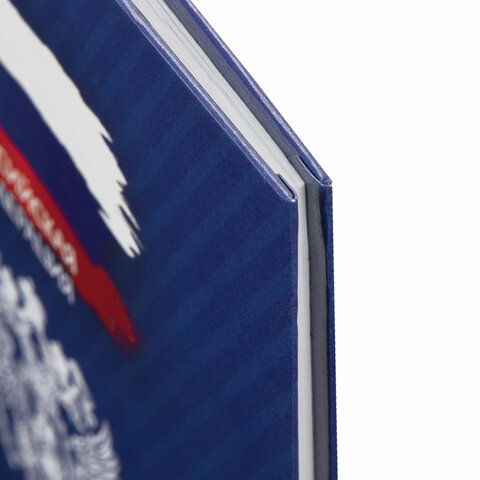 Дневник 1-11 класс 40 л., твердый, BRAUBERG, глянцевая ламинация, "Россия"