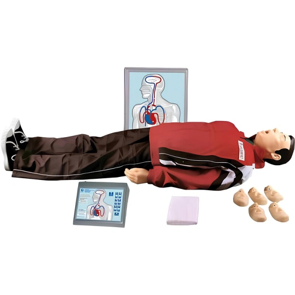 Тренажер для оказания первой медицинской помощи