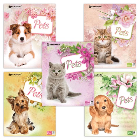 Тетрадь 48л. клетка BRAUBERG, офсет 60г/м, кл.обл.мел.карт.Pets (Любимчики), ассорти