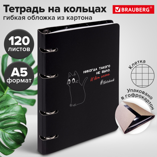 Тетрадь на кольцах А5 160х212 мм, 120 листов, картон, матовая ламинация, клетка, BRAUBERG, "Просто К