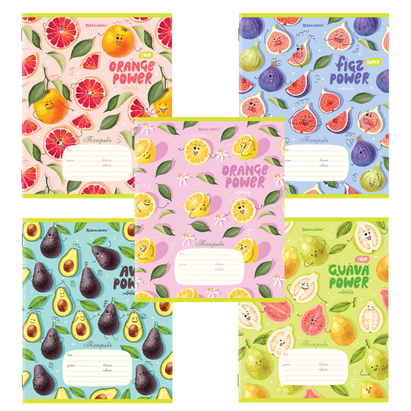 Тетрадь 18л. BRAUBERG линия, обложка картон, ФРУКТЫ