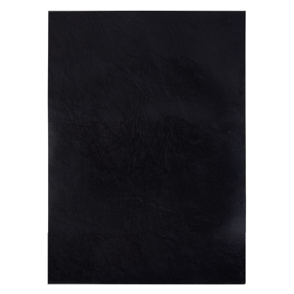 Папка-уголок Expert Complete "Premier", А4, 180мкм, черная