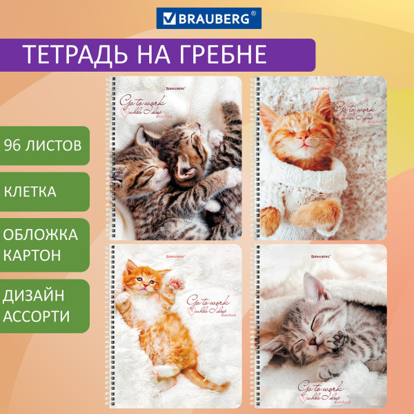 Тетрадь 96л. клетка на спирали BRAUBERG, обложка картон "Котики"