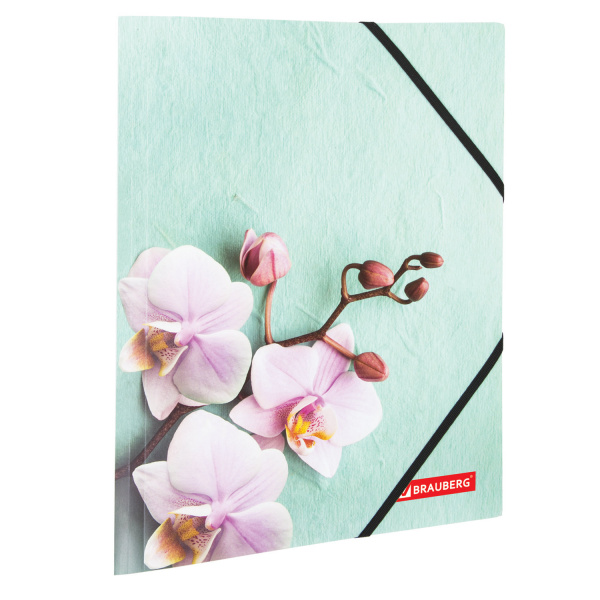 Папка на резинках BRAUBERG "Флора", А4, цветная печать, до 300 листов, 500 мкм, 228032