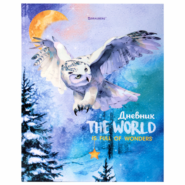 Дневник 1-11 класс 40л, твердый, BRAUBERG, глянцевая ламинация, Сова, 106846