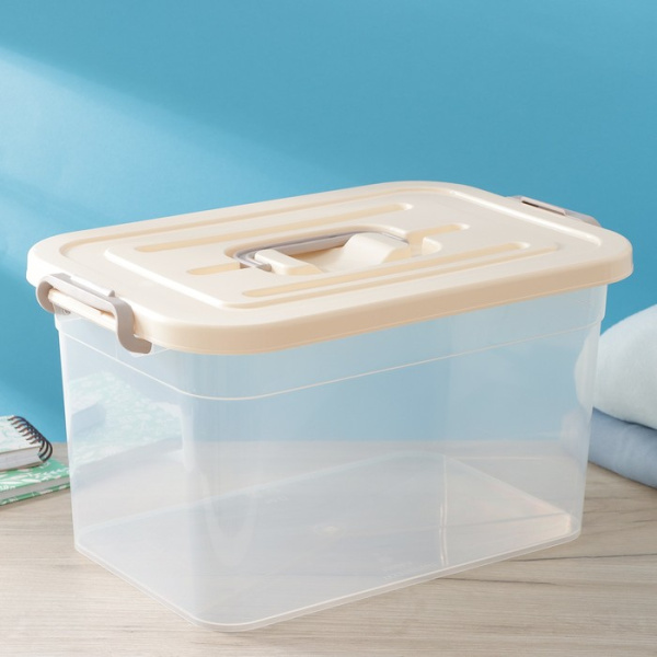 Контейнер для хранения с крышкой RICCO, 10 л, 35,5×23,5×19 см, цвет бежевый