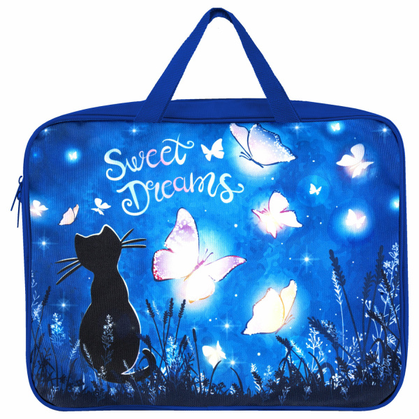 Папка на молнии с ручками BRAUBERG А4, 1 отделение, полиэстер, 80 мм, «Sweet dreams», 270959